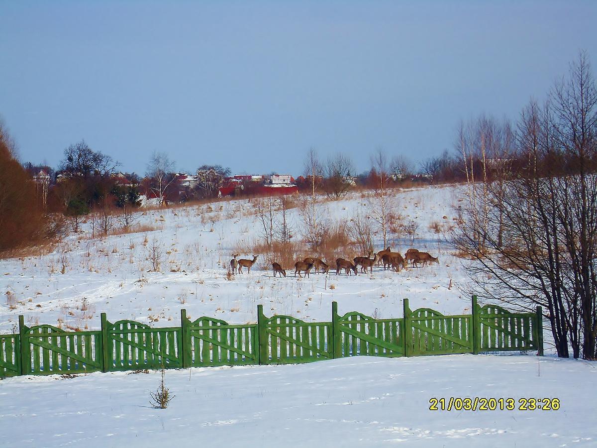 Mazurska Chata Jezioro I Aquapark 6 Min, Centrum I Promenada 12 Min Mikołajki Dış mekan fotoğraf